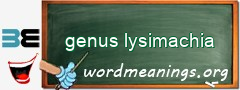 WordMeaning blackboard for genus lysimachia